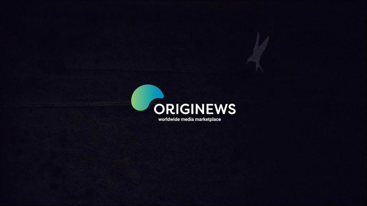 Originews / Dibeva